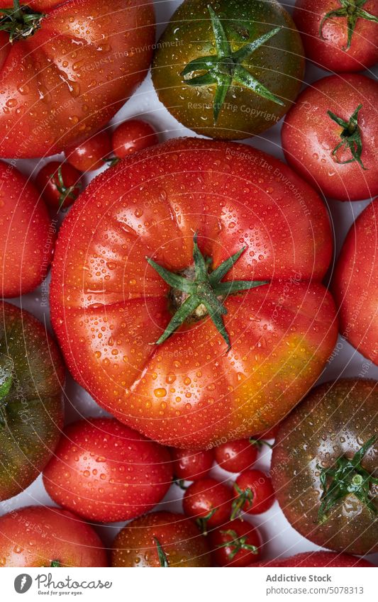 Ripe tomatoes on branch with leaves ripe fresh vegetable leaf drop food nature organic vegetarian vitamin wet green raw delicious natural plant water nutrition