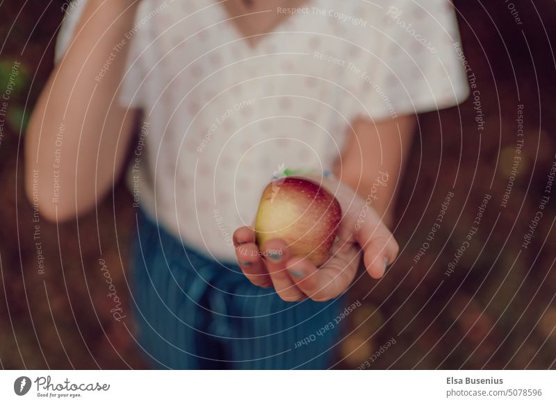 Apple in the hand Hand Fruit Exterior shot Food Red Healthy Fresh Harvest Autumn Juicy Delicious Nature Nutrition Mature Garden Healthy Eating Apple harvest