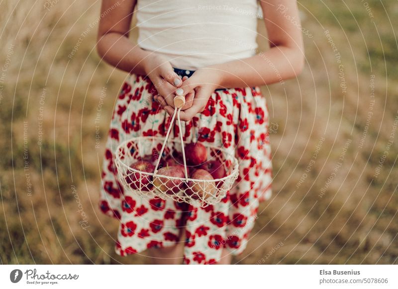 Girl with basket of apples Apple Fruit Harvest Summer warm Garden Depth of field Skirt Retentive aesthetiC table pretty natures Fresh Mature