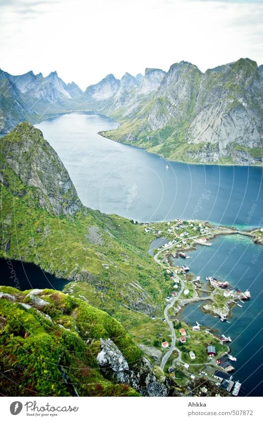 Reinefjord, Lofoten Contentment Senses Vacation & Travel Tourism Trip Adventure Far-off places Freedom Nature Landscape Mountain Fjord Fishing village Small