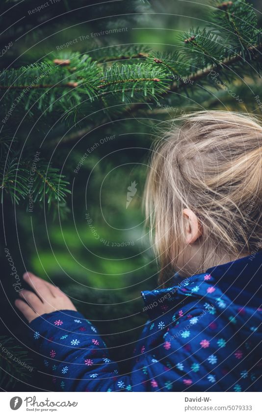 Girl among fir trees in a forest Fir tree Child Forest explore stroll Nature To go for a walk Experiencing nature Winter Lanes & trails Hiking Observe Christmas