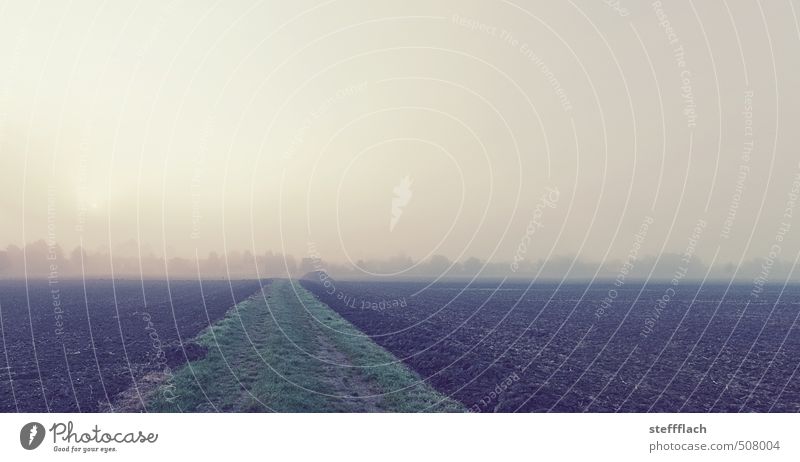 fog sunrise Calm Thanksgiving Landscape Earth Sky Sunrise Sunset Autumn Climate change Fog Agricultural crop Field Deserted Lanes & trails Dark Brown Yellow