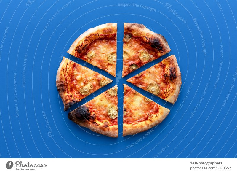 Homemade vegetarian pizza above view on a blue background baked carbs cheese color cooked crust cuisine delicious dinner dough edible fast food forest fungi