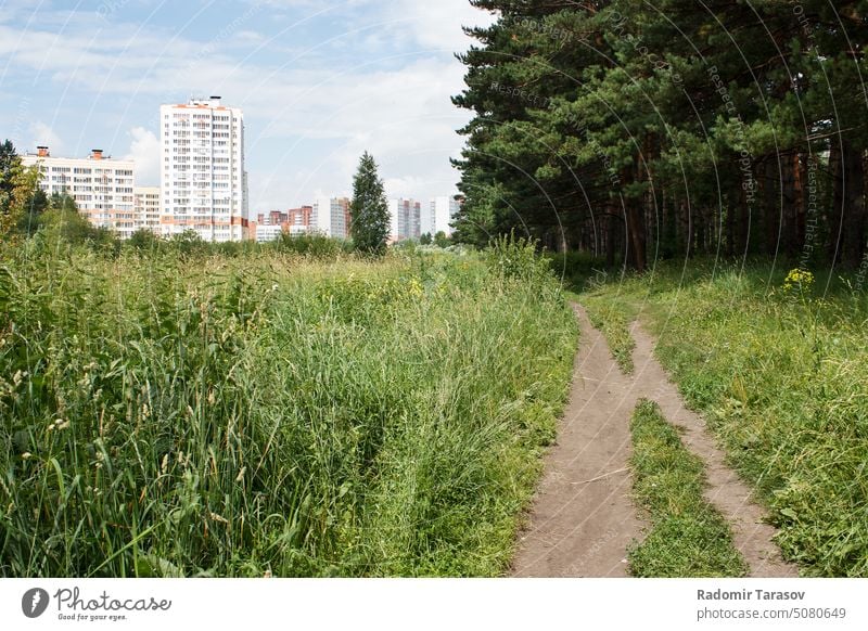 new residential area near the forest siberia russia sunny summer building modern construction city tree house green home facade grass architecture day outdoor