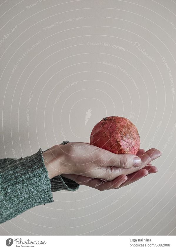 Woman's hands holding grapefruit Hands Girl Sense of Autumn Arm Fingers Fruit Grapefruit Palm of the hand body part Food Hold Skin Minimal Conceptual design