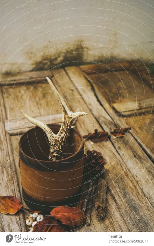 Rustic still life  background with wild and forest stuff autumn fall wood horn rustic leaf pinecone vertical aged old animal deer forestry surface box brown