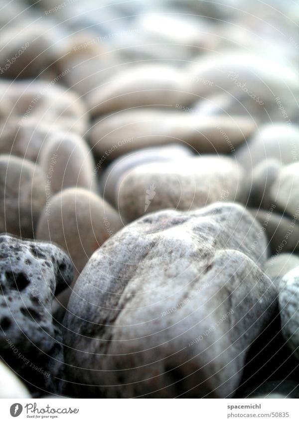 stony beach Beach Pebble beach Stone