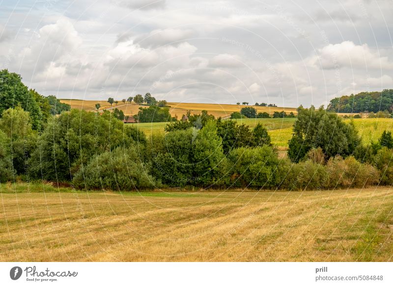 Clouded farmland scenery agriculture rural field farming cultivating summer stormy clouded overcast meadow plantation Hohenlohe germany southern germany