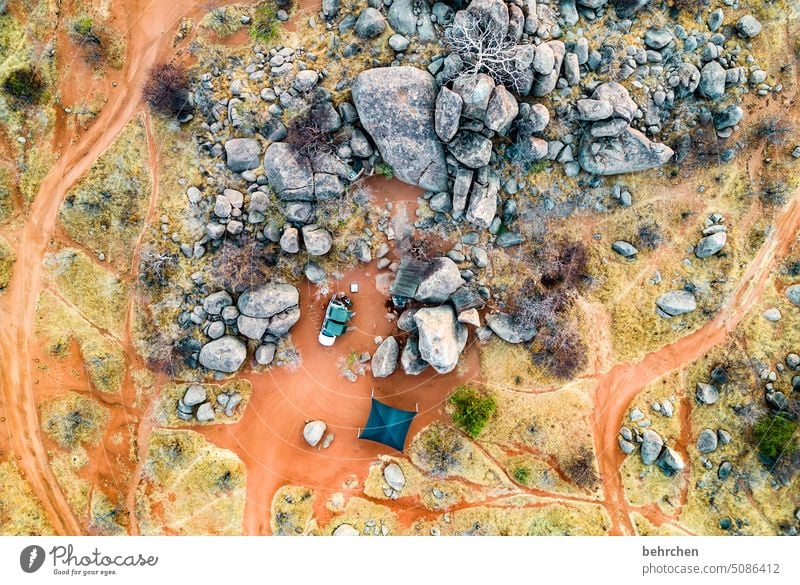 view of a butterfly Freedom Bird's-eye view from on high drone Dry Mountain Gorgeous Warmth Tree especially Impressive Adventure Loneliness Nature Namibia