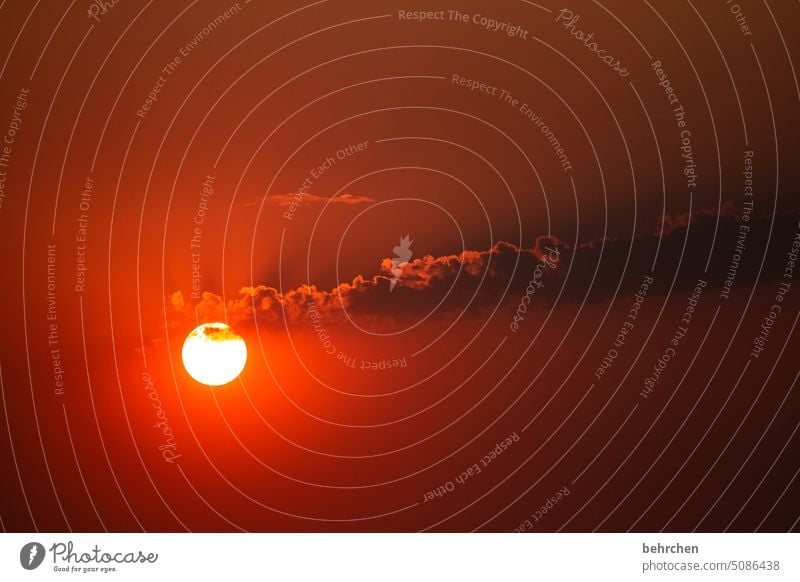 force Dream Fantastic Twilight tawdry Romance romantic Sun Ball Longing Hope Belief Kitsch Sunset Sunlight Dusk Evening Namibia Wanderlust Far-off places Africa