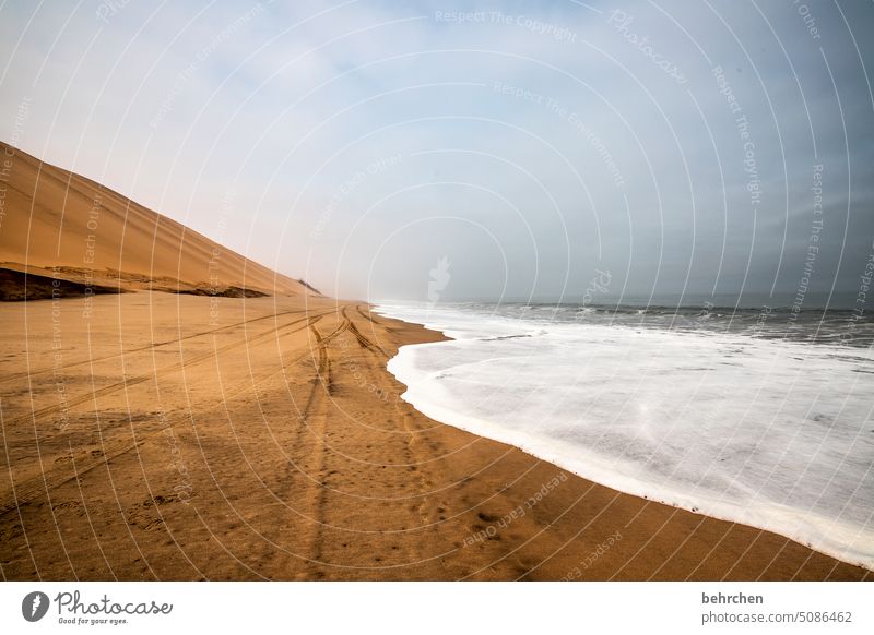 water and sand and so much more Waves Water sand dune Dunes Impressive magical duene Gorgeous Swakopmund Walvis bay Warmth Sky Horizon Vacation & Travel