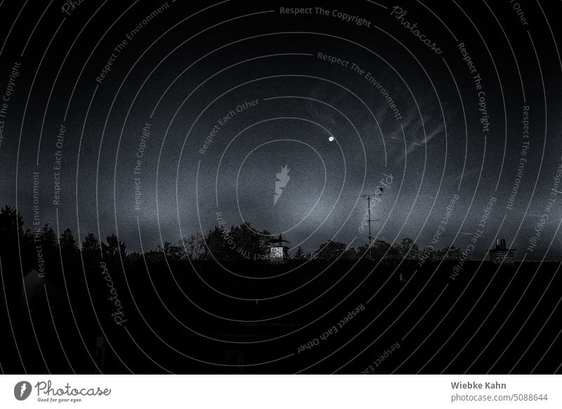 View from a skylight in the morning. Looking at an opposite house roof with two chimneys and an antenna on which a bird sits. In the background treetops can be seen. The moon is still visible in the sky. The picture is in black /w