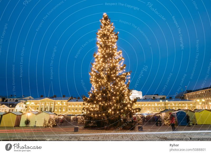 Helsinki, Finland. Evening View Of Christmas Tree On Senate Square In Evening Night Christmas Xmas Festive Illuminations holiday celebration town street finnish