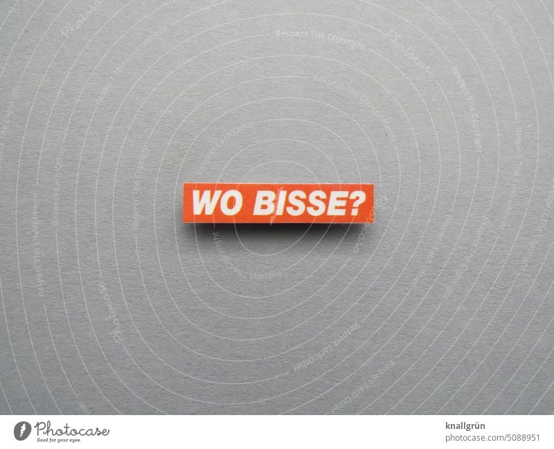 Where bisse? Ask Interest Curiosity Know Question mark Where are you search tracking Navigation Communicate Colour photo Characters Deserted Neutral Background