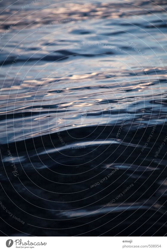 Water Environment Nature Elements Waves Lake Wet Blue Colour photo Exterior shot Close-up Abstract Deserted Twilight Shadow Sunlight Sunbeam Low-key