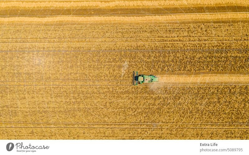 Above view on combine, harvester machine, harvest ripe cereal Aerial Agricultural Agriculture Cereal Combine Country Countryside Crop Cultivated Cultivation Cut