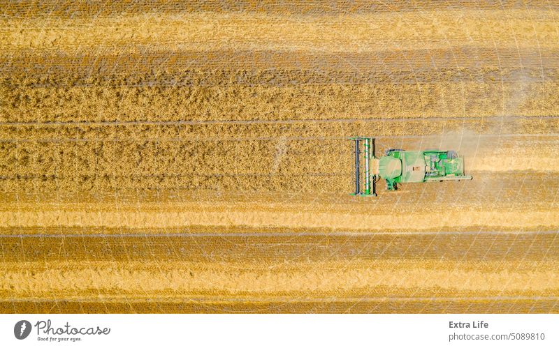 Above view on combine, harvester machine, harvest ripe cereal Aerial Agricultural Agriculture Cereal Combine Country Countryside Crop Cultivated Cultivation Cut