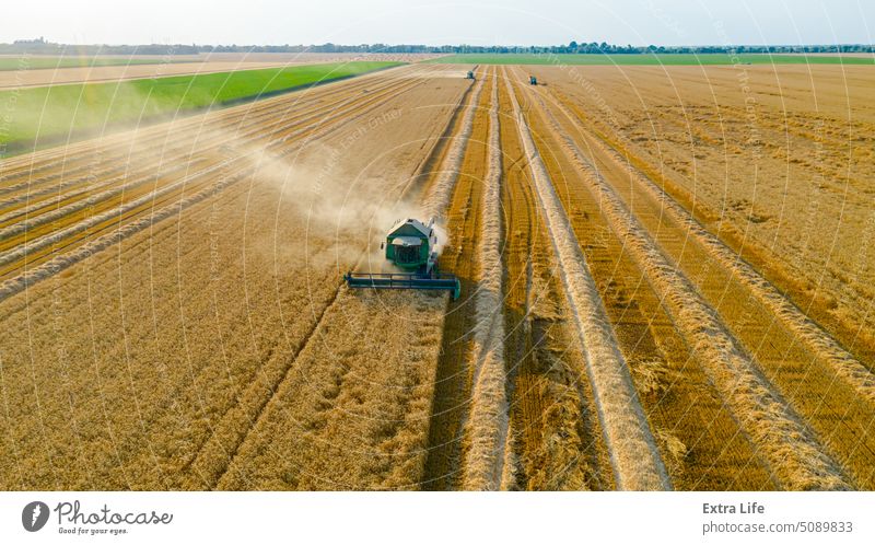 Above view on combine, harvester machine, harvest ripe cereal Aerial Agricultural Agriculture Cereal Combine Country Countryside Crop Cultivated Cultivation Cut