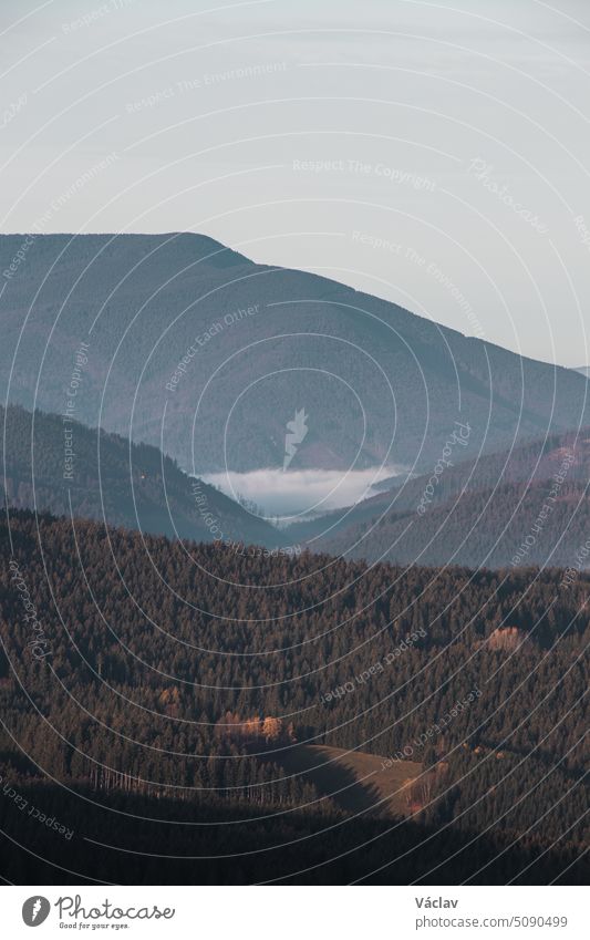 View of a white mist located in a valley between two mountains in the heart of Beskydy mountains, Czech Republic. Morning light illuminates the condensed humidity