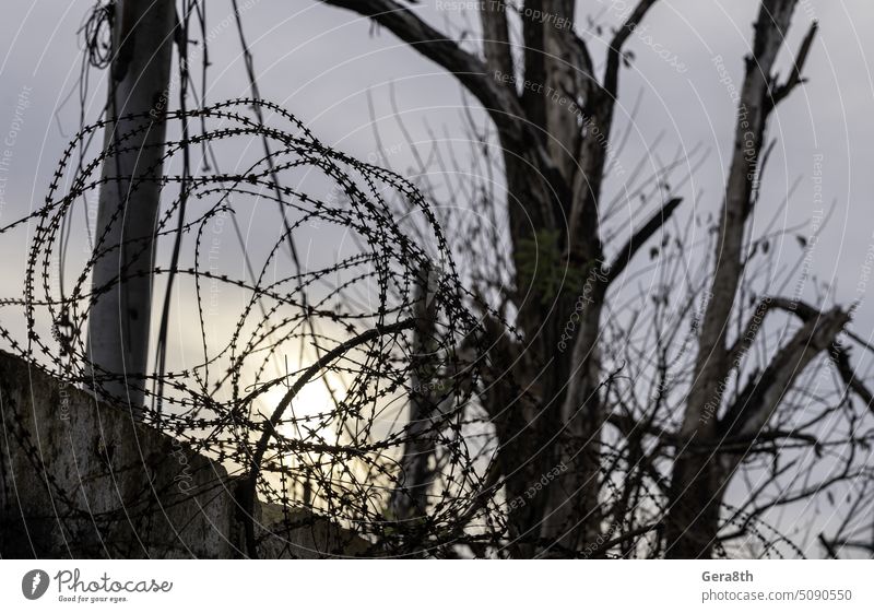 barbed wire fence against the sky in Ukraine Donetsk Kherson Kyiv Lugansk Mariupol Russia Zaporozhye abandon abandoned attack background blown up bombardment