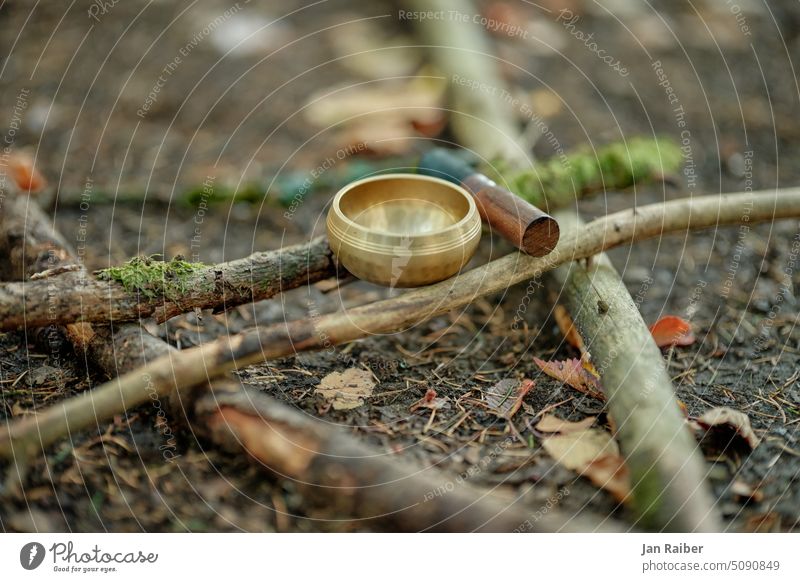 Singing bowl in the forest kindergarten Sound Nature Forest senses Forest kindergarten Kindergarten twigs