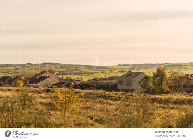 Panoramic of a warm cloudy day with rural houses and a grey sky fresh plain weather landscape nature plant season grass natural yellow wall idylli pasture green