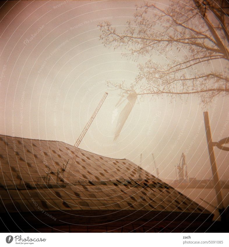 . Analog Holga Lomography Scan Slide Cross processing somber House (Residential Structure) Tree Hamburg Facade Elbe Philharmonic Hall Double exposure