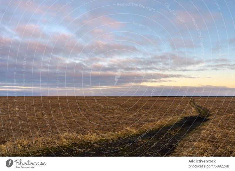 Dry field with grass and pathway during sunset landscape narrow countryside nature terrain vik tranquil iceland sky cloudy arid sundown scenic dry picturesque