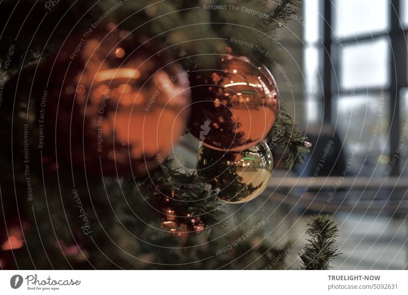 Thick copper shiny baubles hang on a fir tree in the station hall at Christmas time christmas balls christmas decoration Christmas tree Train station Hall