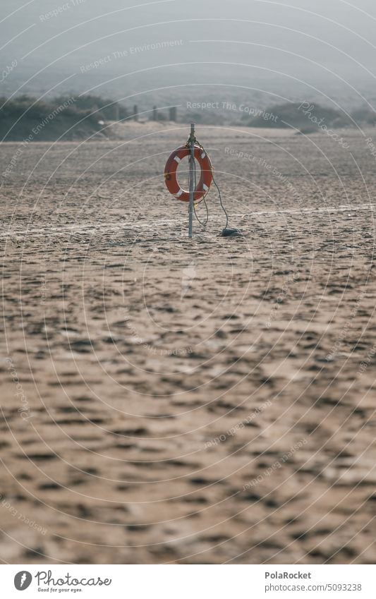 #A0# Summer Sun Lifebuoy Life belt Sand Beach Beach life Tracks Beach dune Walk on the beach coast Vacation & Travel Landscape Rescue Tourism