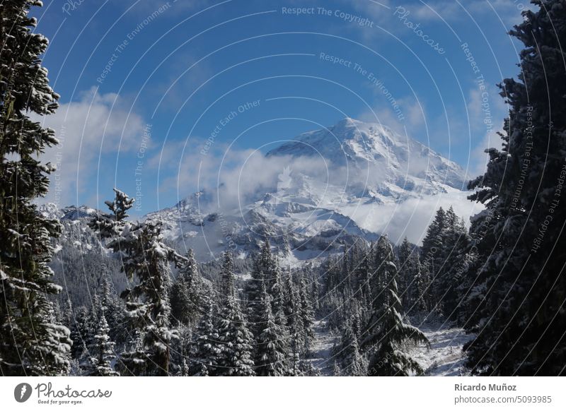 Snowy summit Winter Mountain Mountaineering mountains Hiking Hiking trip Landscape seattle mt rainier Snowcapped peak Cold Beautiful weather Blue White