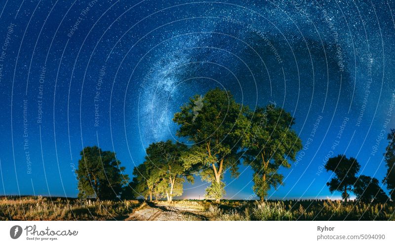 Milky Way Galaxy In Night Starry Sky Above Tree In Summer Forest. Glowing Stars Above Landscape. Panorama astronomy august beautiful cosmic cosmos country road