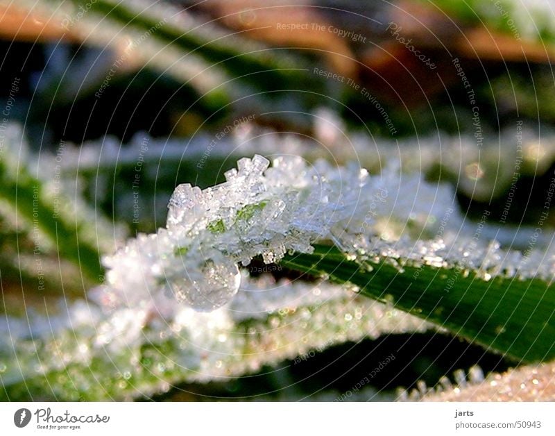 Crystal Ice crystal Winter Meadow Grass Snow Nature jarts