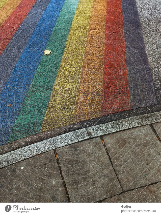 Crosswalk with a difference. Rainbow colors on the street Prismatic colors Zebra crossing Multicoloured Prismatic colour Deserted Colour Leaf Road traffic