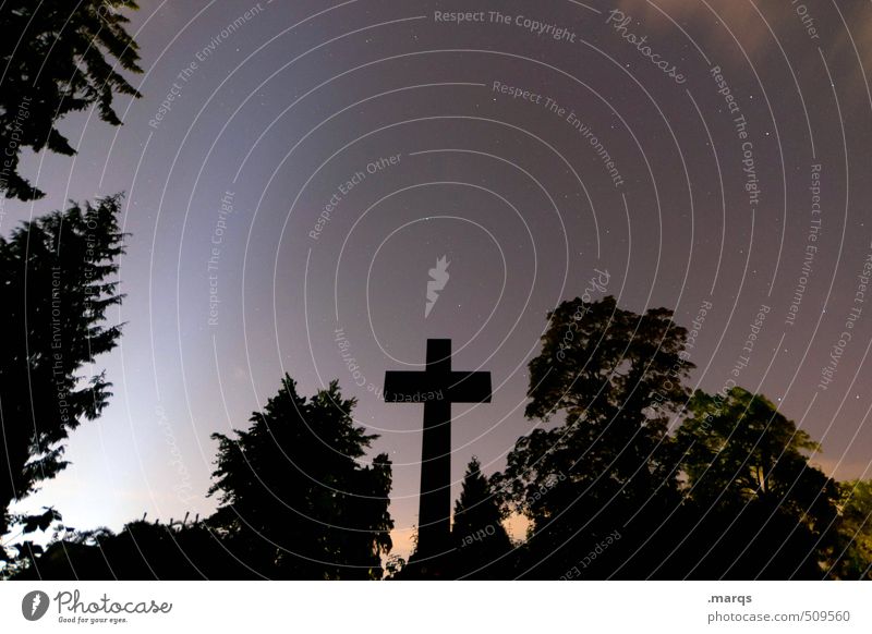 † Nature Landscape Cloudless sky Night sky Stars Summer Tree Bushes Sign Crucifix Dark Creepy Moody Fear End Belief Religion and faith Calm Death Cemetery