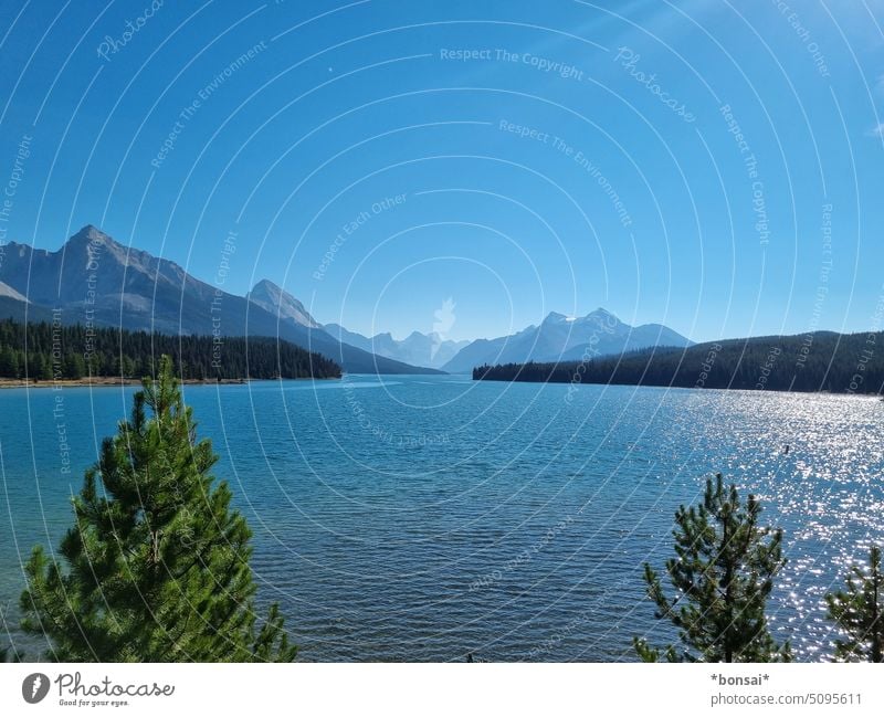 Maligne Lake mountain lake Water Blue Mountain Glacier Sun Sky Rock trees Nature Landscape Horizon Summer Alberta Canada Rocky Mountains Jasper national park