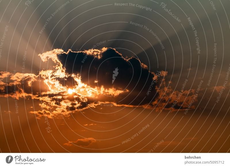 celestial sign Belief Hope Dusk Evening sunshine Sunlight Raincloud Sunset Sky Fantastic Clouds Light Exterior shot Africa Namibia Far-off places Wanderlust