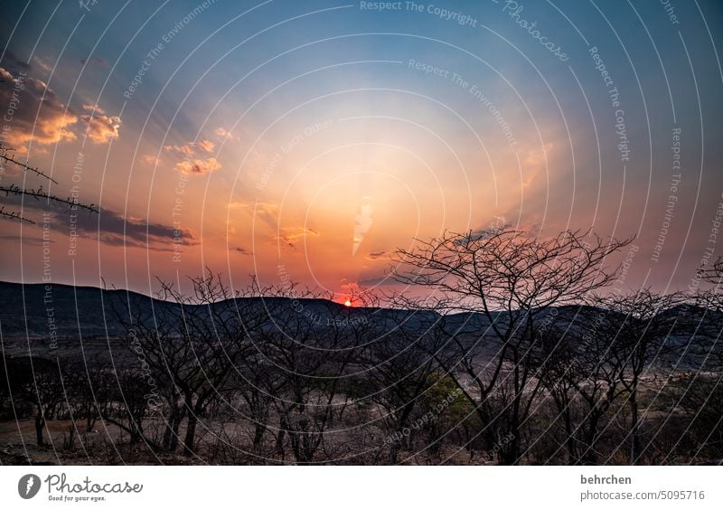 kaokoveld Dream Twilight Africa Colour photo Loneliness Impressive magical Adventure Landscape Desert silent Hope Dark beautifully Far-off places