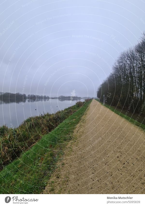 Walk along the Danube River Barrage Weir Wet Waves Nature Environment Reflection Water Deserted Flow Fog Surface of water November Moody cloudy weather dejected