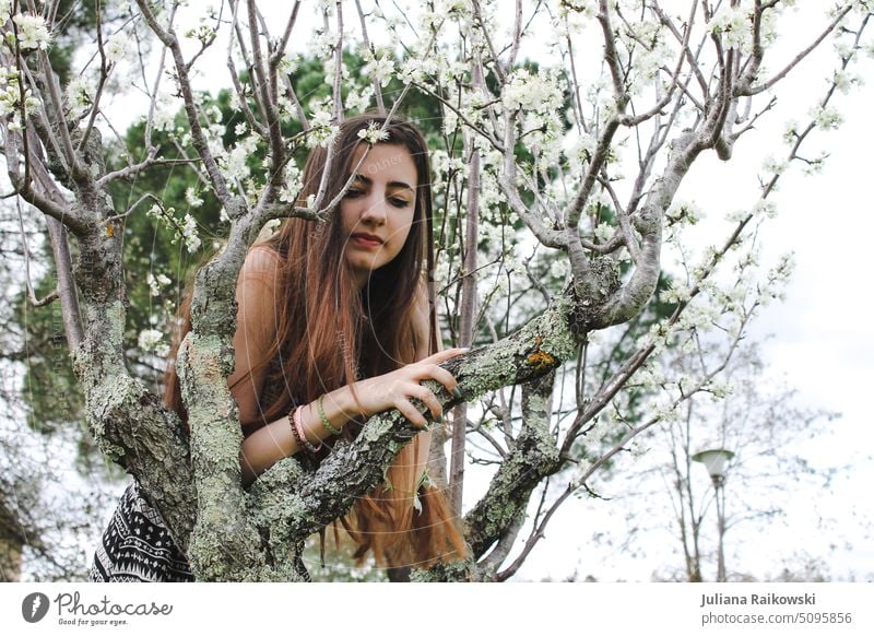 young woman with long hair in cherry tree melancholy Mysterious Authentic pretty Strand of hair Elegant Brunette Woman Forest Long-haired Feminine Colour photo