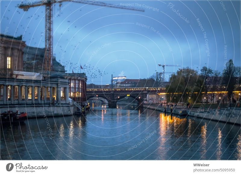 Blue hour on the Museum Island. A flock of birds and a construction crane above the Spree. Evening Dark Twilight blue hour cloudy Berlin Museum island Bridge