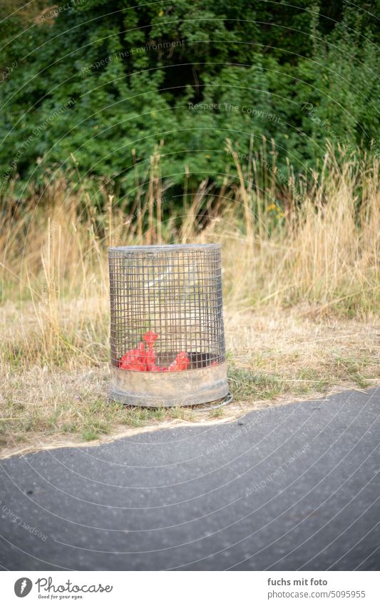 Classic trash can in summer. Dog bag. burnt fields Trash dog excrement Summer parched Dried Drought Exterior shot Environment Ground Climate change Dry Earth