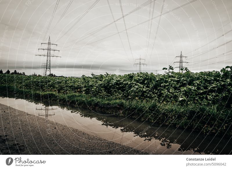 Power poles with crossing wires reflected in a puddle High voltage power line Electricity Energy industry Electricity pylon Sky Industry Overhead line