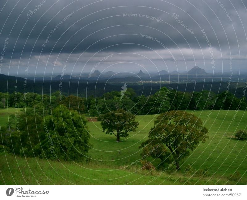 glashouse Queensland Australia Horizon Dark Far-off places Meadow Green Juicy Calm Impression glashousemountains Landscape Mountain Nature Freedom To enjoy Life