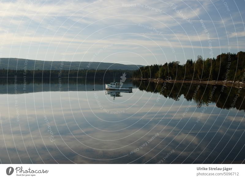 Boat on sea in Canada with cloud reflection boat Lake Clouds Sky Forest Calm Peaceful Water windless Blue White Green bank Surface of water Lakeside Landscape