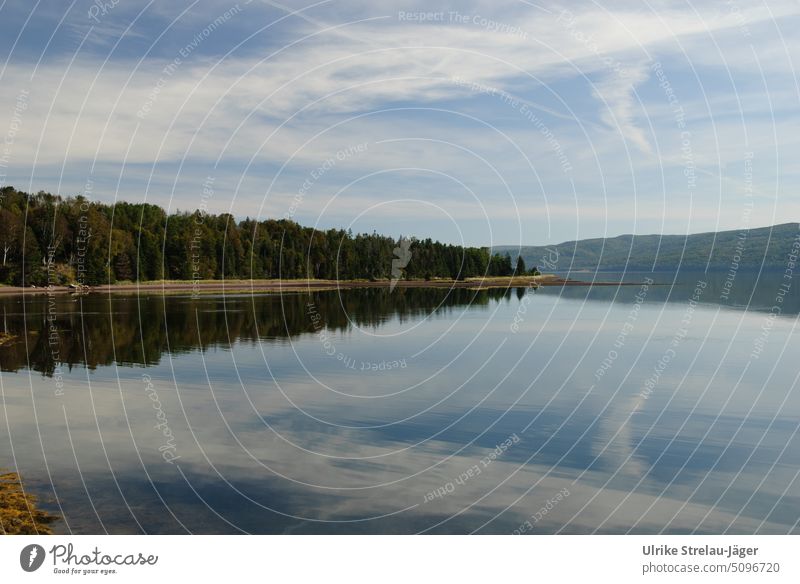 Lake in Canada with clouds reflection Clouds Sky Forest Calm Peaceful Water windless Blue White Green bank Surface of water Lakeside Landscape Idyll Nature