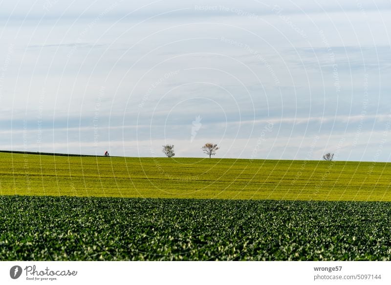 cross-country wide Landscape Exterior shot Horizon cloudy Sky Far-off places fields Foreground blurred Colour photo acre persons Nature Lanes & trails Movement