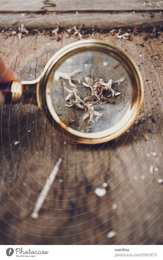 Retro wooden backgroun with a lens and a little white flowers clue vintage detective glass texture background investigation magnifying retro old grunge floral