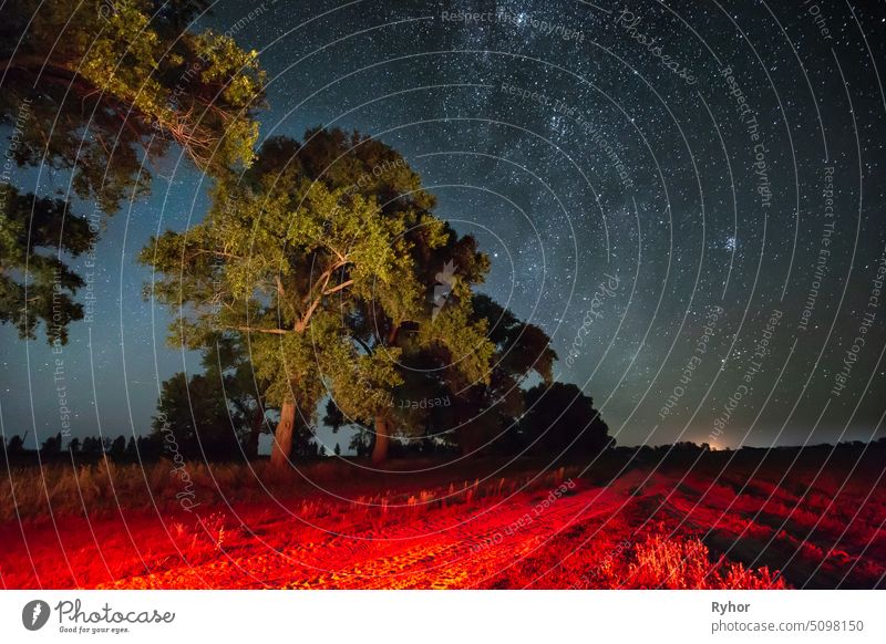 Milky Way Galaxy In Night Starry Sky Above Tree In Summer Forest. Glowing Stars Above Landscape. View From Europe landscape country road beautiful nature star