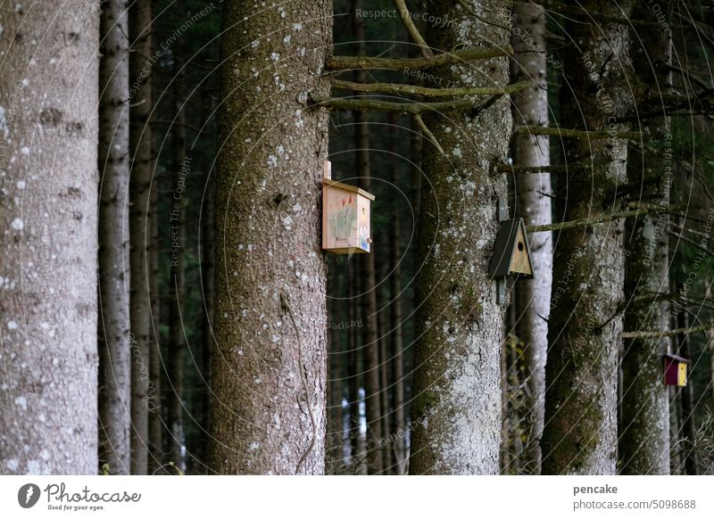 close to nature | to good neighborliness! Forest aviary Nesting box Tree trunk Hang Neighbours tiny house Environment incubate Bird neighbourhood Wild animal